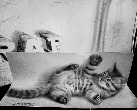 3d cat pencil drawing by Josue Neftali