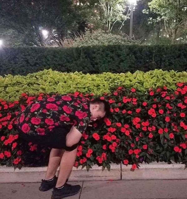 AI flower bed or camouflage?
