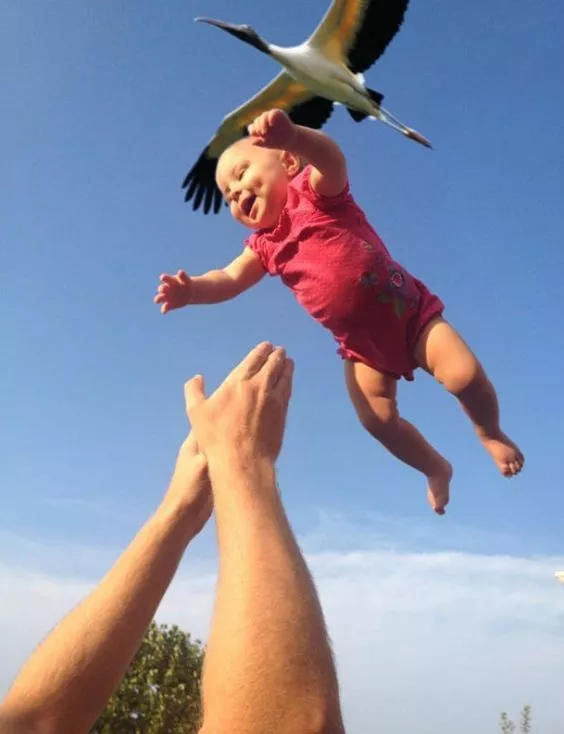 Father catches baby dropped by stork