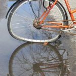 Bicycle reflection