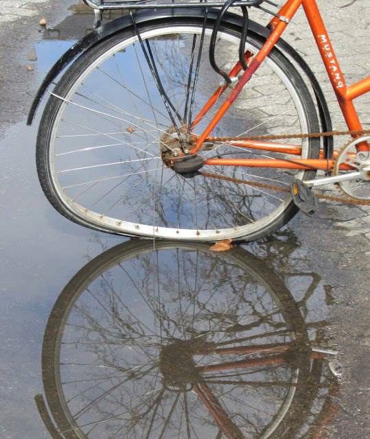 Bicycle reflection