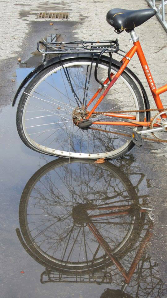 Bicycle reflection