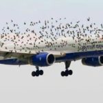 This photo captured by Adam Samu seems to show a British Airways airplane being struck by birds.