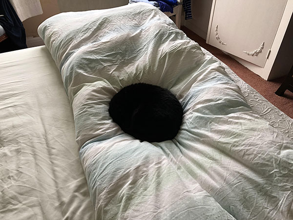 black hole in a bed