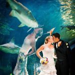 This photo of a bride kissing a fish instead of the groom is a physical optical illusion created by reflection.