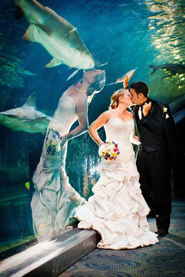 This photo of a bride kissing a fish instead of the groom is a physical optical illusion created by reflection.