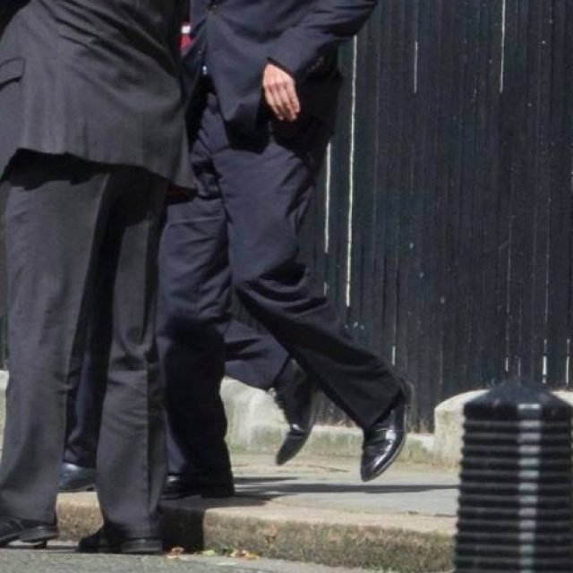 Flapping Cameron