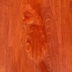 This camouflaged kitty is hiding very well on the wooden floor. 