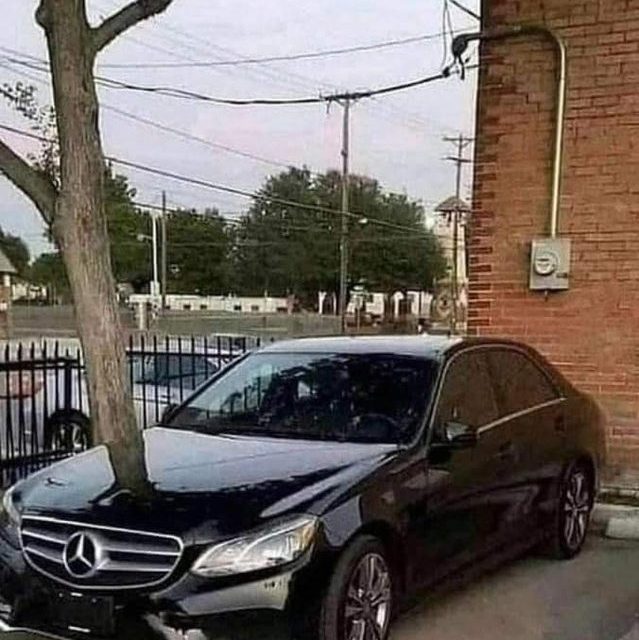 Tree grows through car