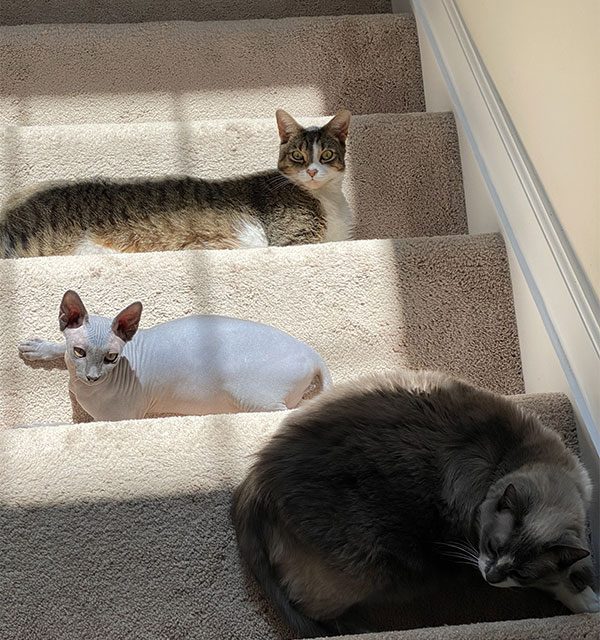 Stairs up or down?