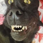 Gmork of The NeverEnding Story