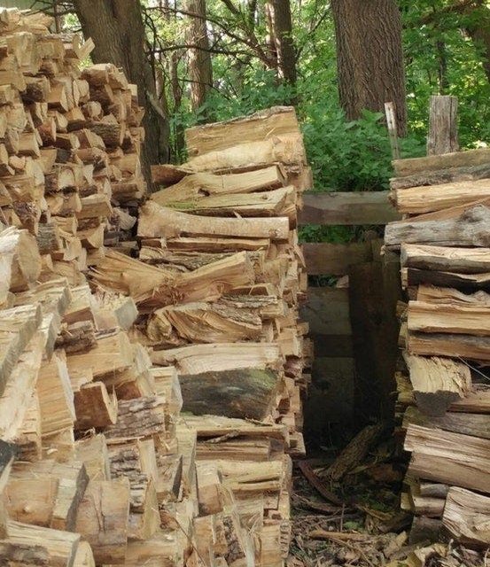 Find the cat