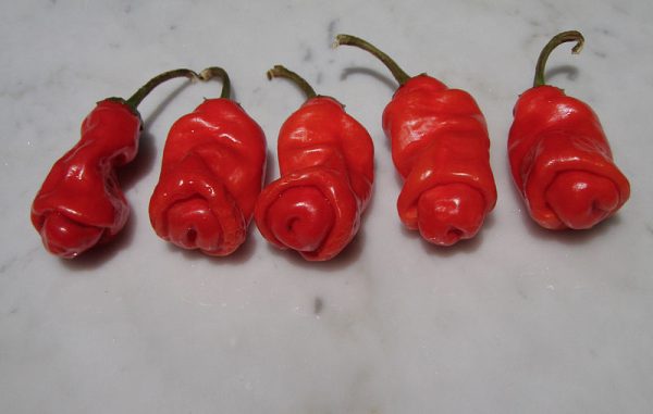 Chili willies or peter peppers