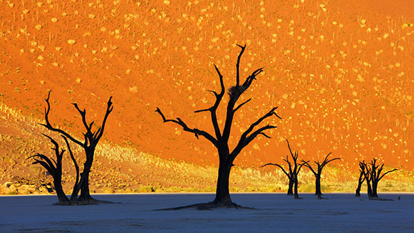 Deadvlei in Namibia is a great landmark to photograph optical illusions