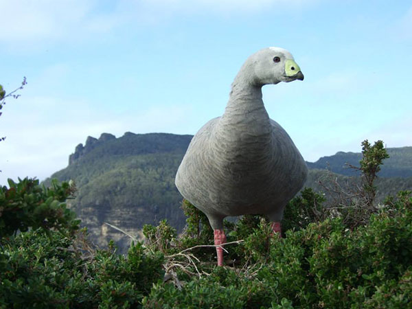 A dinosaur bird