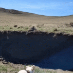 Dog jumping giant hole illusion