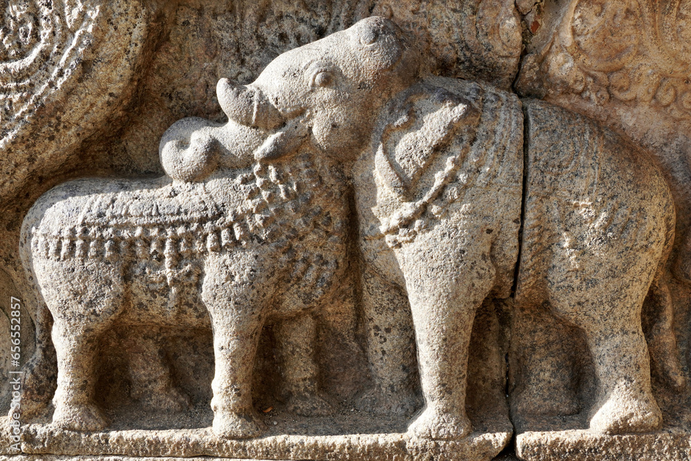 Elephant bull illusion history