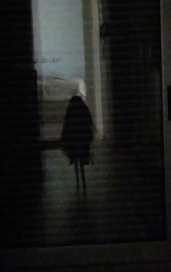 Photo of a ghost of a long-haired girl