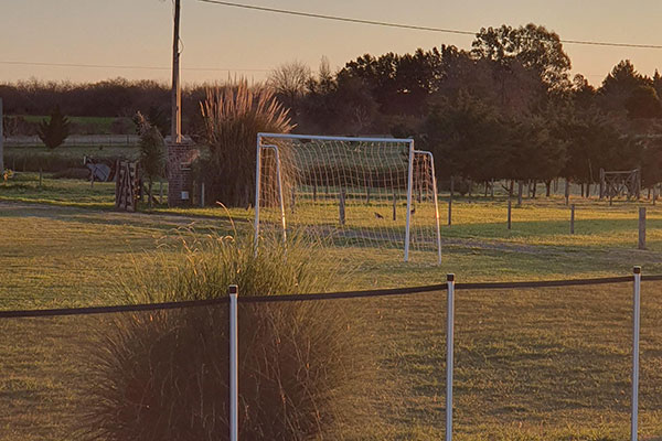 Goal perspective