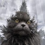 The grinch cat optical illusion