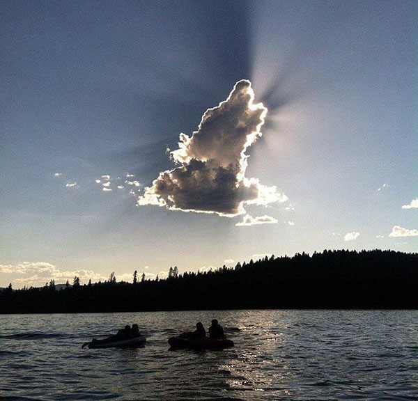 Howling wolf cloud