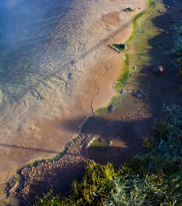 Aerial view of a beach