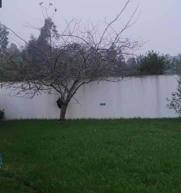 This lake view garden does not have a lake in sight
