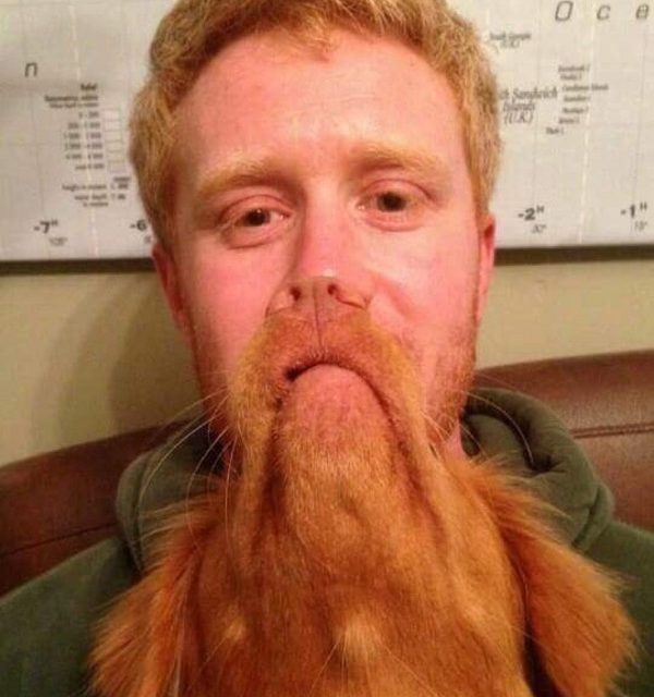 A man and his dog