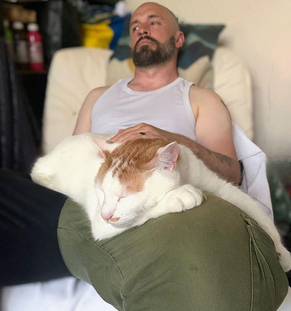 A lap tiger created with forced perspective