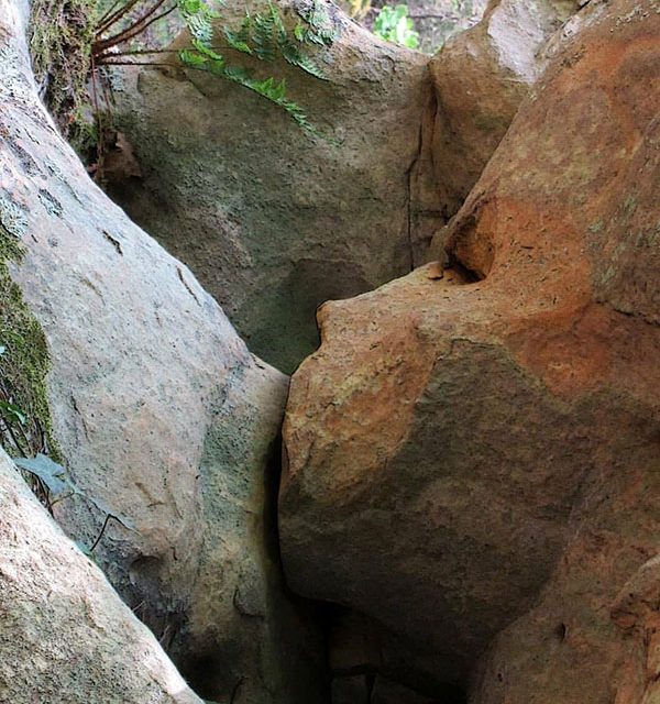 Mother nature breastfeeding