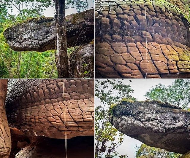 Prehistoric snake