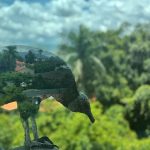 Reflective bird