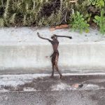 Tribesman of North Sentinel Island