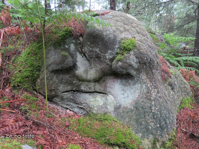 sorrowful rock face pareidolia