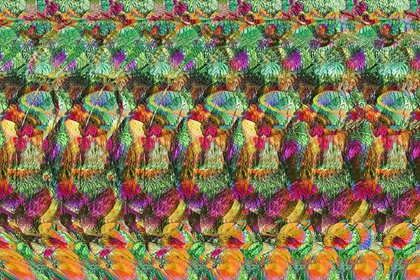 Squirrel Stereogram