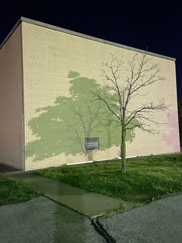 Tree mural