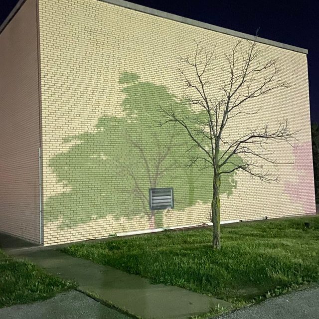 Tree mural