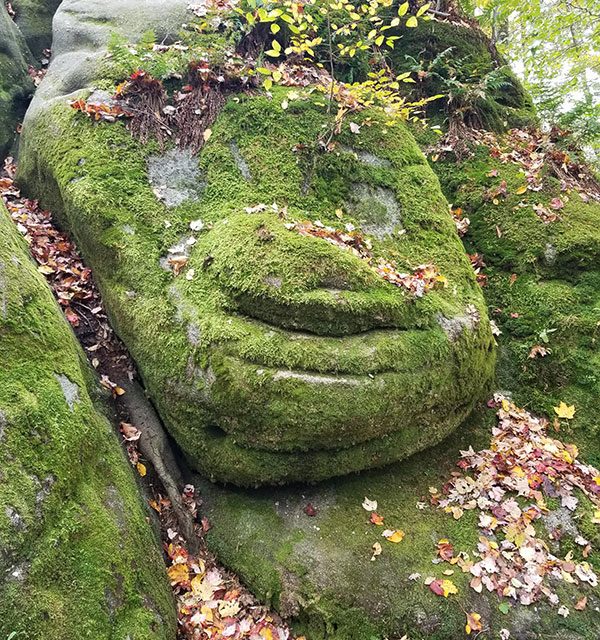 troll in the park