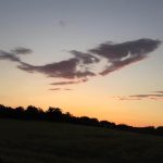 Whale of a cloud