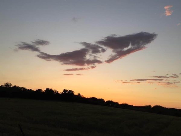 Whale of a cloud