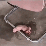 Wiener dirty illusion