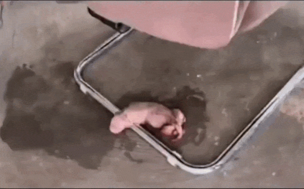 Wiener dirty illusion